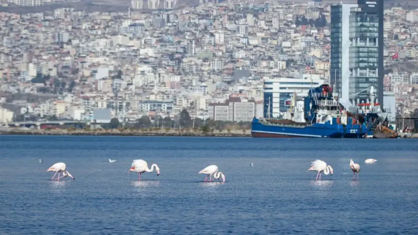 İzmir, Vilnius’ta iklim eylemi deneyimlerini paylaştı
