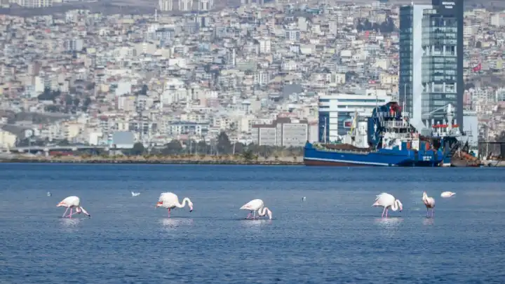 İzmir, Vilnius’ta iklim eylemi deneyimlerini paylaştı