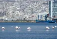 İzmir, Vilnius’ta iklim eylemi deneyimlerini paylaştı