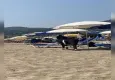 Kaçan kurbanlık keçi, plaja daldı