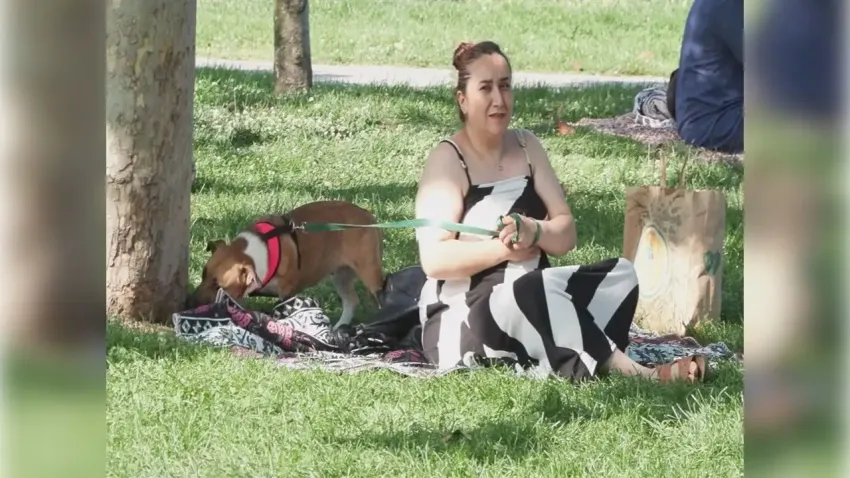 Kurban Bayramı'nı İstanbul'da geçirenler sahillere akın etti haberinin görseli