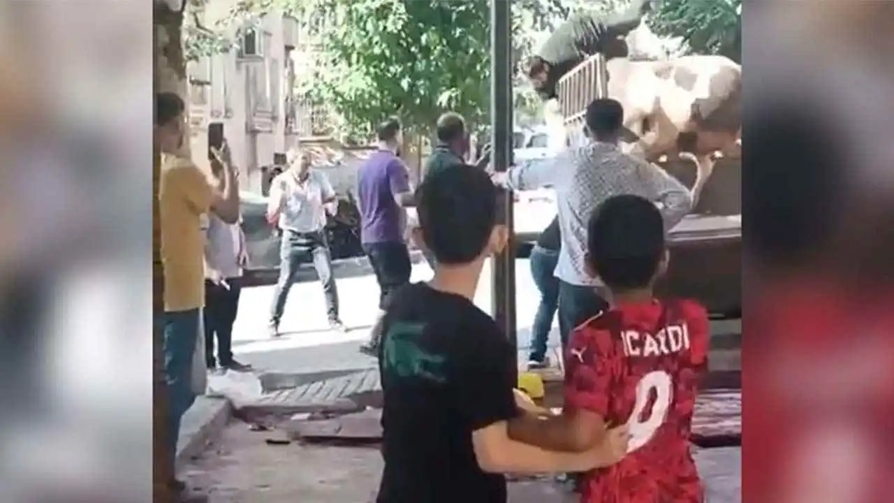 Şanlıurfa’da boğa saldırısı: Kasap ölümden döndü haberinin görseli