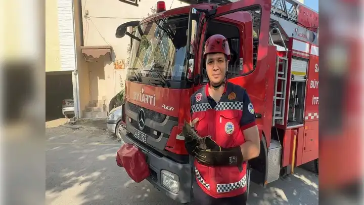 Ağaçta iki gün mahsur kalan kedi yavrusunu itfaiye ekipleri kurtardı