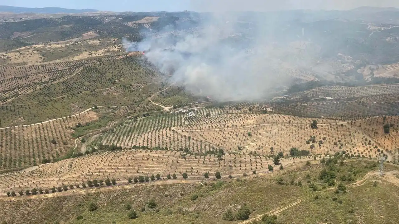 İzmir haber: Otluk alanda yangın haberinin görseli