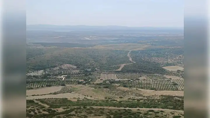 Seferihisar'da makilik alanda çıkan yangın kontrol altına alındı