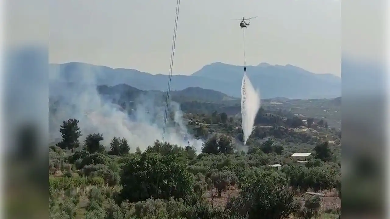 Manisa'da tarım arazisindeki yangın, ormanı da yaktı haberinin görseli