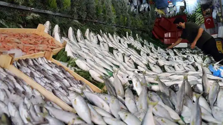 Dört Mevsim Balık Takvimi: Ne Zaman Hangi Balık Yenir?