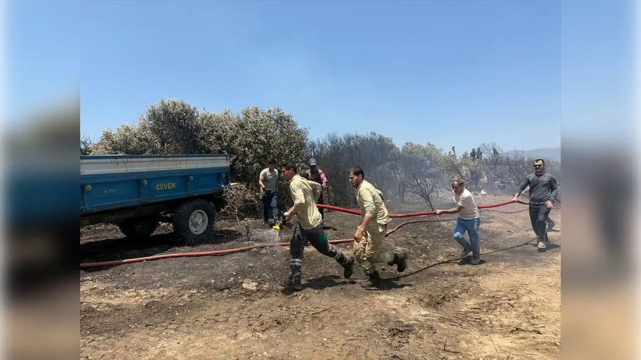 İzmir haber: Kemalpaşa'da yangın haberinin görseli