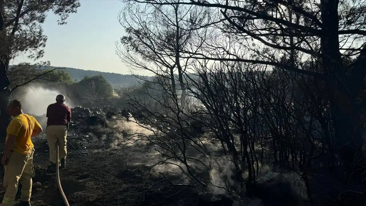 İzmir haber: Urla’daki yangında 1 kişi tutuklandı haberinin görseli