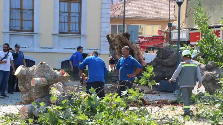 İzmir Kemeraltı'nda asırlık çınar ağacı devrildi haberinin görseli