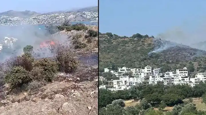 Bodrum'da makilik alanda büyük yangın