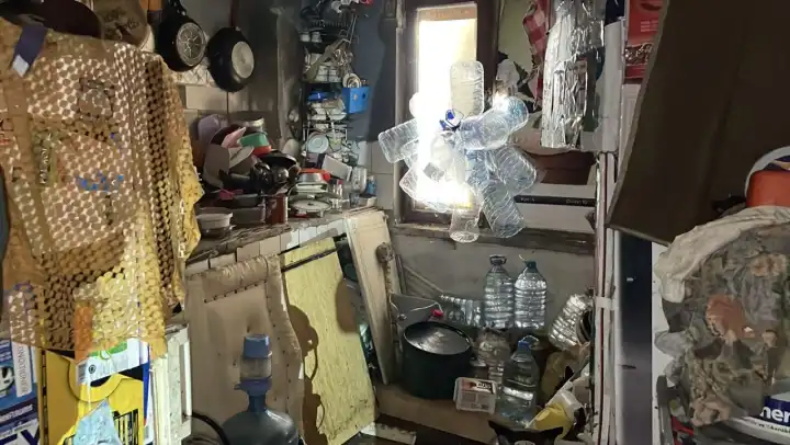 Aydın’da bir evden 4 kamyon çöp, 12 kedi ve 3 kaplumbağa çıktı