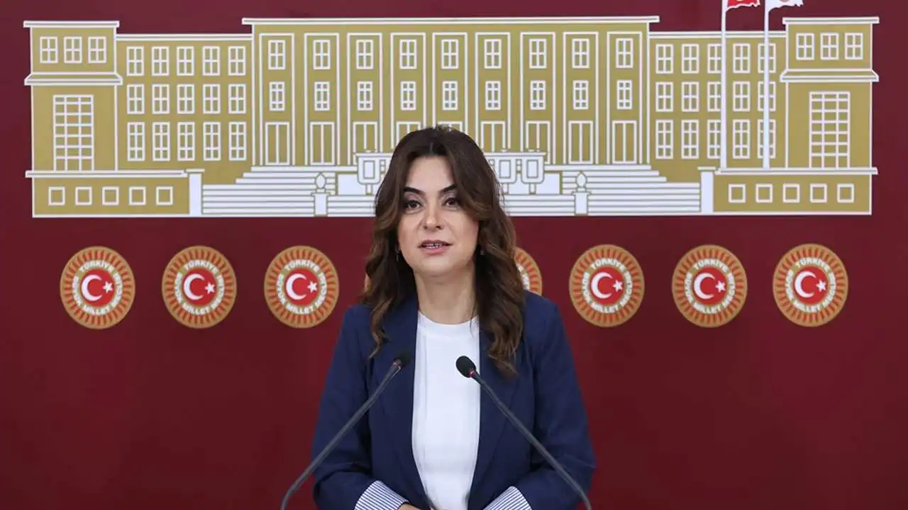 DEM Parti'li Koçyiğit: Bütün partiler İmralı'ya gitmeli haberinin görseli
