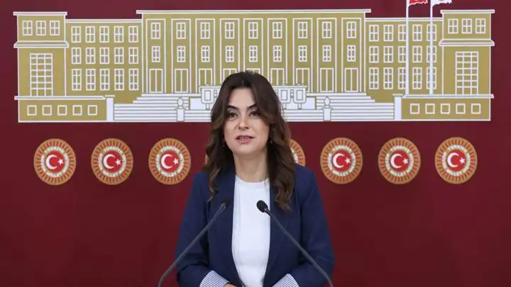 DEM Parti'li Koçyiğit: Bütün partiler İmralı'ya gitmeli