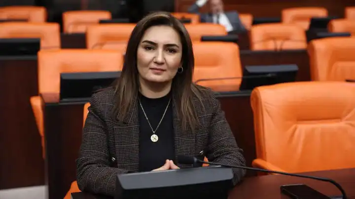 Işıl Öykü Dinç davasına ilişkin açıklama yapan Kılıç: Mobese görüntüleri dosyaya neden eklenmedi?