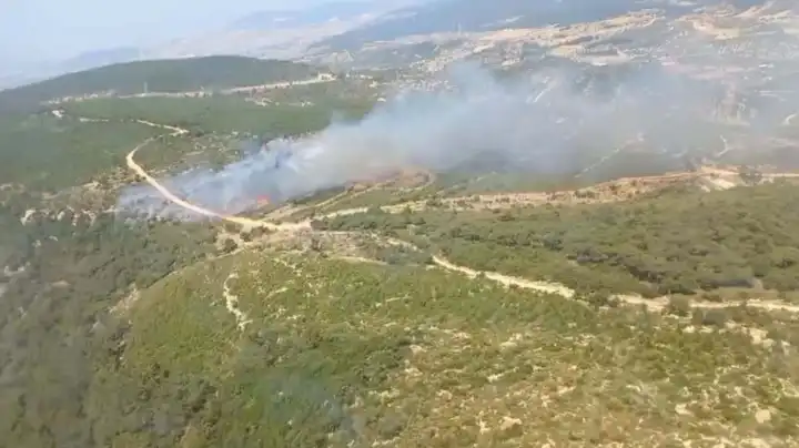 İzmir haber: Foça’da orman yangın! 3 saat sonra kontrol altına alındı