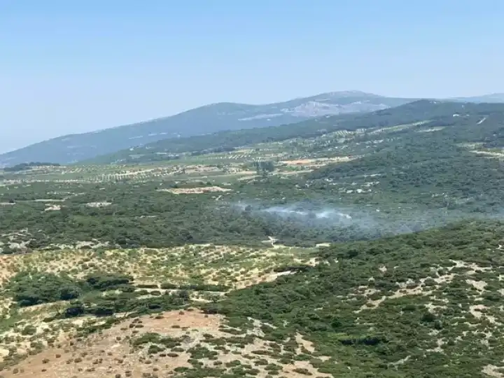 Aydın'da orman yangını: Kontrol altına alındı