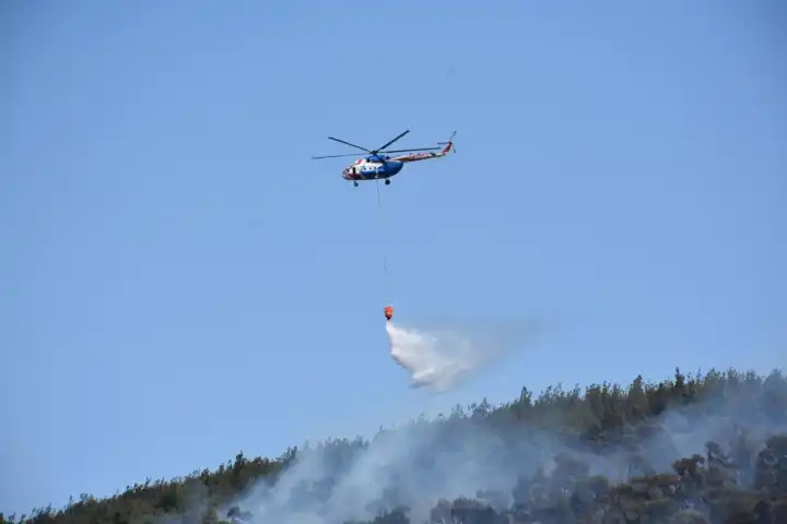 İzmir’de orman yangını: 5 saatte kontrol altına alındı