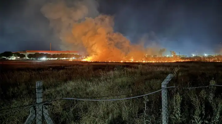 İzmir haber: Gece yarısı otluk alanda korkutan yangın