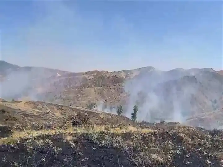 Bingöl’de çıkan örtü yangını 2 saatte söndürüldü