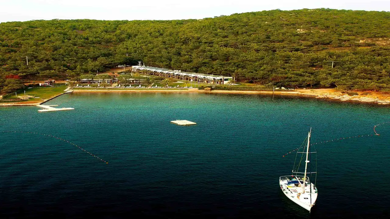 Hafta sonu kaçamağı arayanlara müjde! İzmir’e sadece 2 saat uzaklıkta! Kamp severlerin yeni favorisi Ortunç Koyu haberinin görseli