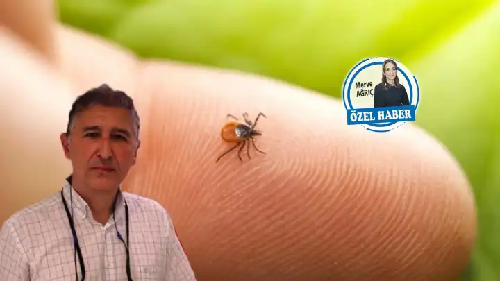 Türkiye’de yeni kene türü alarmı: Ölümcül olabiliyor