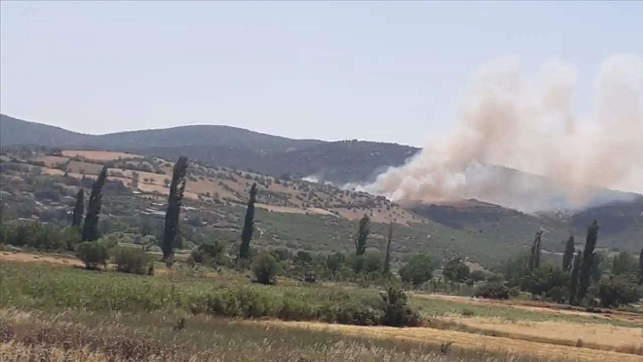 Balıkesir’de orman yangını: Havadan ve karadan müdahale ediliyor haberinin görseli