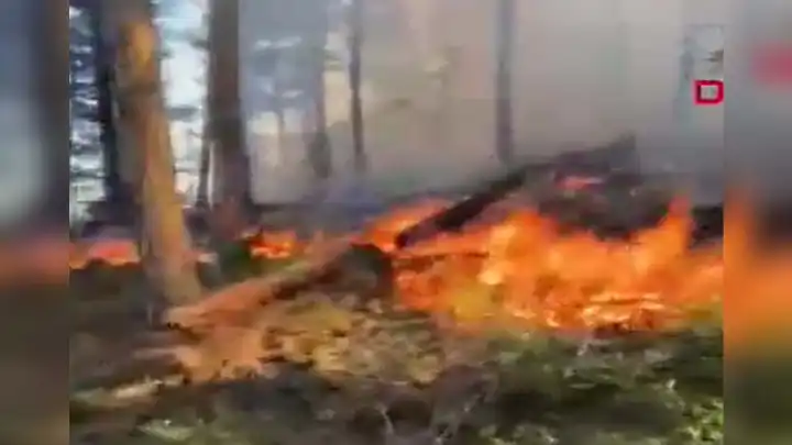 Bolu'daki orman yangını 1 saatte söndürüldü