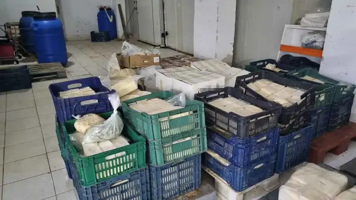 İzmir Buca'da 1500 kilogram bozuk peynir ele geçirildi