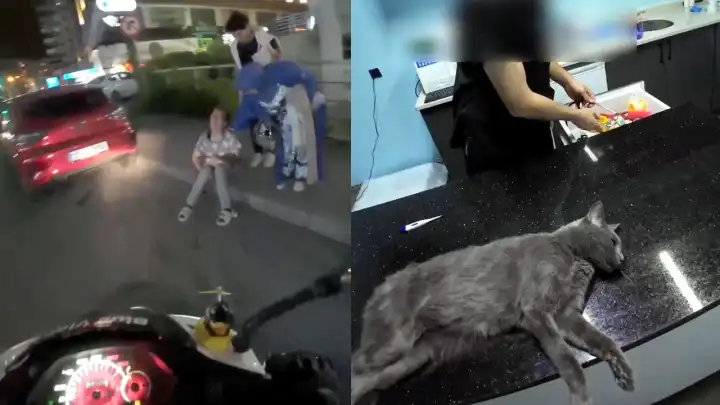 Kadın motokurye kalbi duran kediyi kurtarmak için mücadele verdi