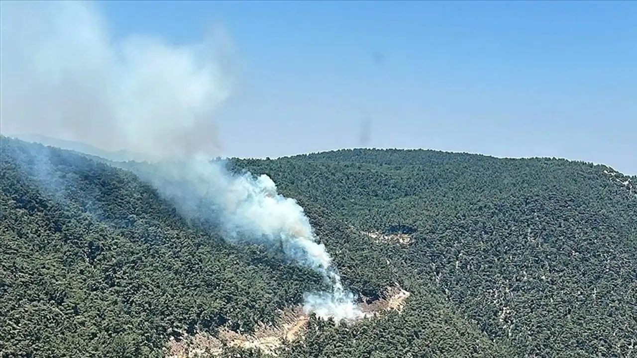 Manisa’da ormanlık alanda yangın çıktı haberinin görseli