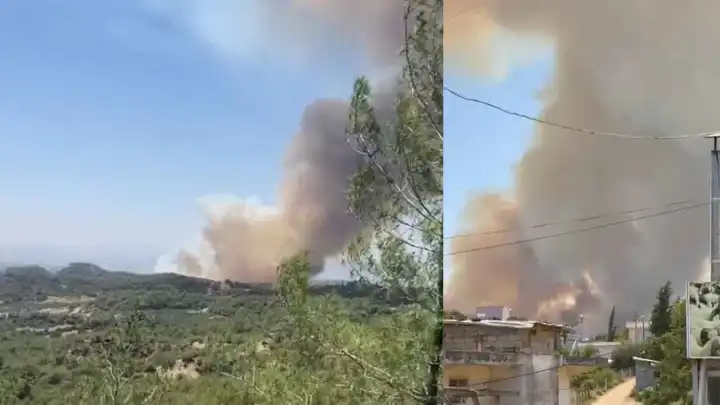 Adana Çukurca'da orman yangını