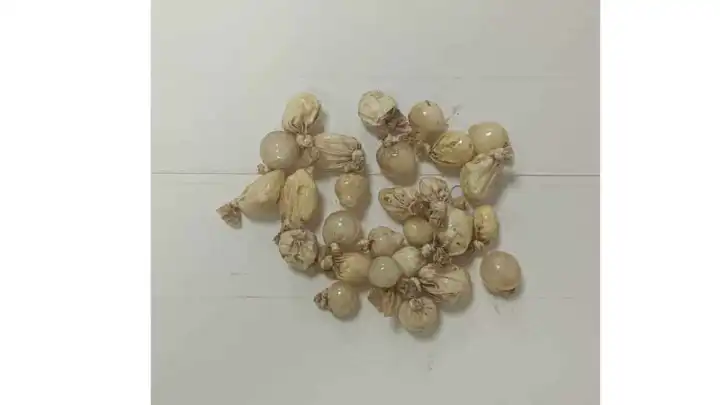 Alkollü sanıldı... Sürücünün midesinden 28 kapsül uyuşturucu çıktı
