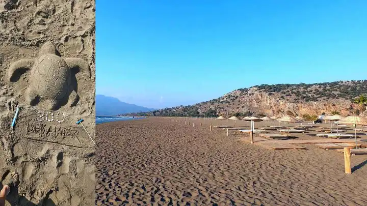 İztuzu Plajı’nda caretta carettaların yuva sayısı 300’e ulaştı