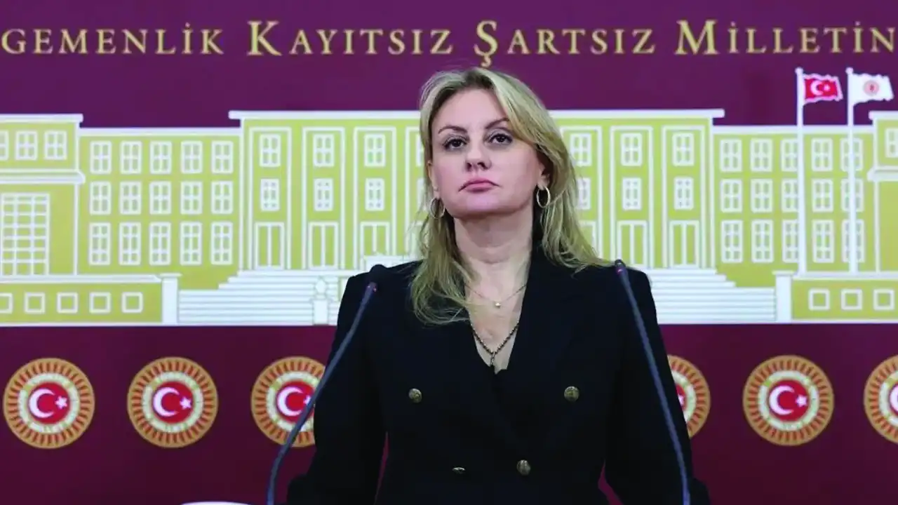 Kaya’dan Bakan Şimşek’e sert sözler: Tarih, Şimşek’i şirketleri batıran bakan olarak yazacak haberinin görseli