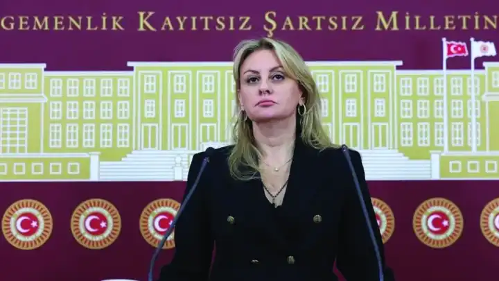Kaya’dan Bakan Şimşek’e sert sözler: Tarih, Şimşek’i şirketleri batıran bakan olarak yazacak