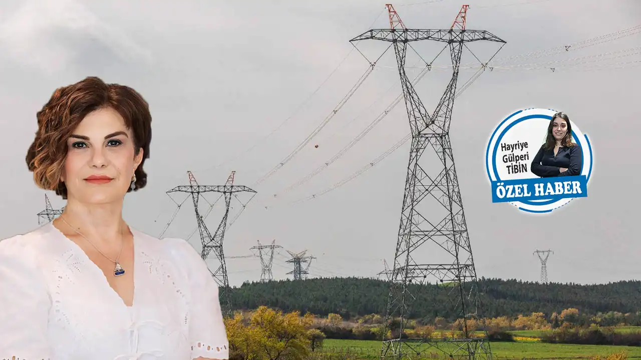 Orman yangınlarına kamulaştırma formülü haberinin görseli