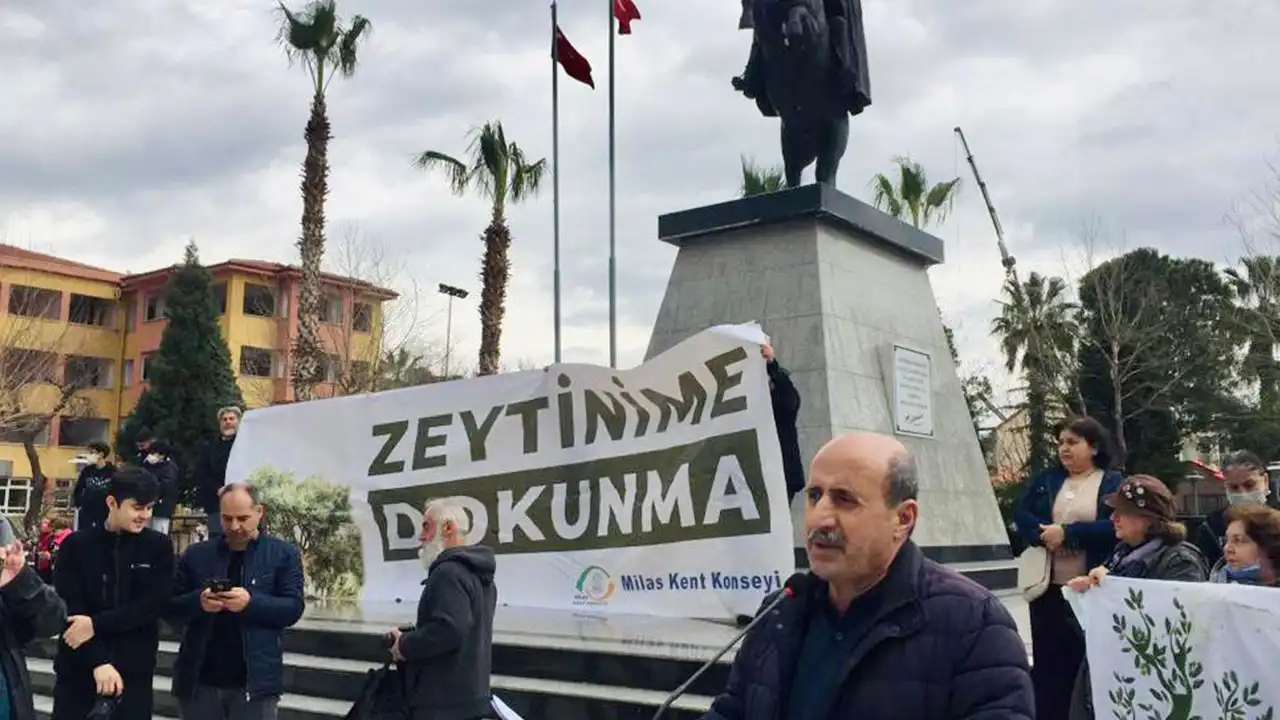Konak Kent Konseyi: Zeytinlikleri rant uğruna feda etmeyin! haberinin görseli