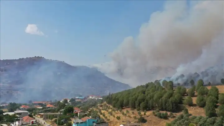 Aydın'da iki farklı noktada yangın 