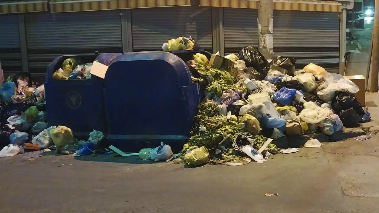 Buca'da çöp dağları oluştu! Salgın hastalıklar kapıda: İlçeyi fareler basabilir haberinin görseli