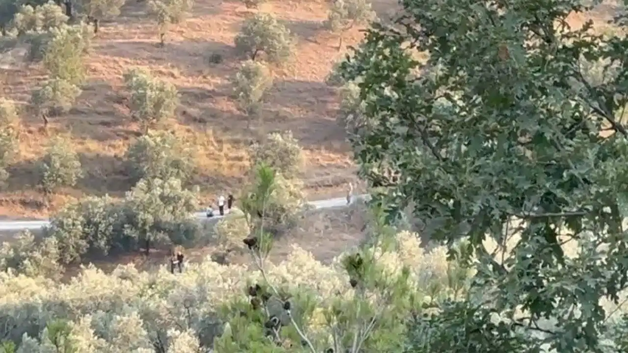 İmamoğlu'nun babasının arazi hakkında flaş gelişme! haberinin görseli