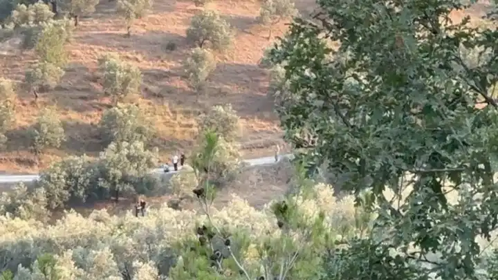 İmamoğlu'nun babasının arazi hakkında flaş gelişme!