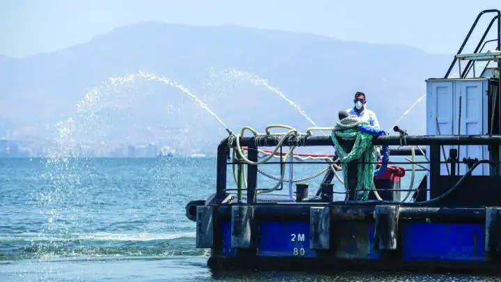 İzmir Körfez’inde yeni gelişme: Modifiye kil yöntemi sonuç verdi