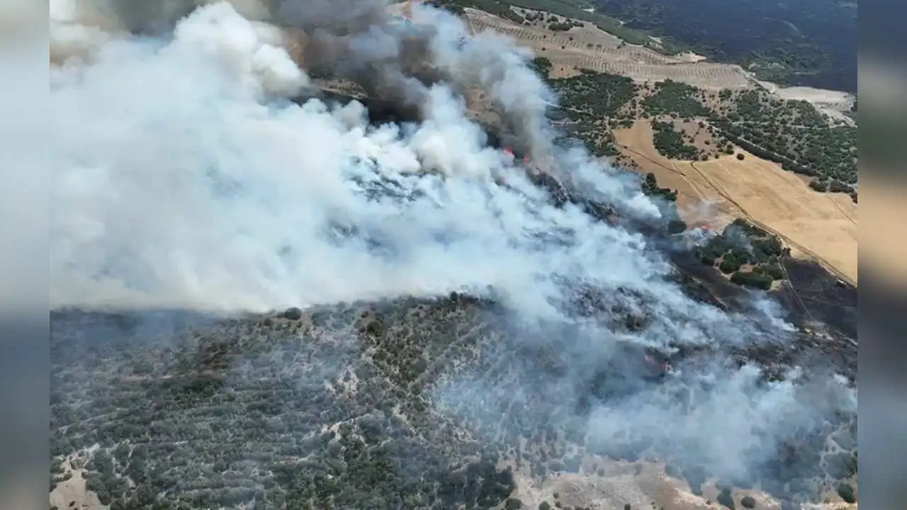 Manisa'daki yangın kontrol altına alındı haberinin görseli