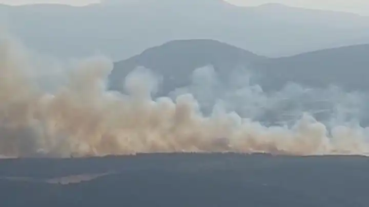 Manisa Kırkağaç'ta orman yangını