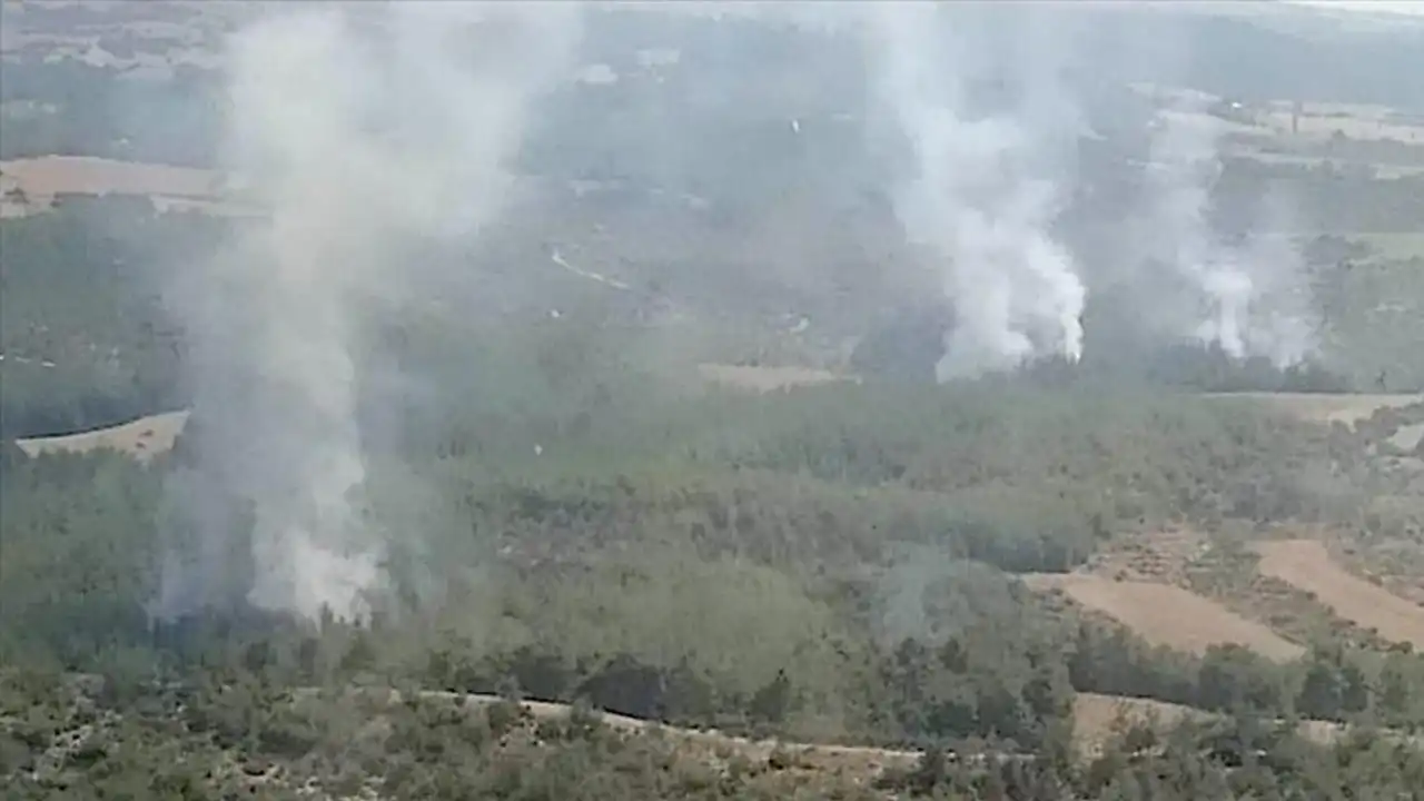 Adana’da orman yangınına müdahale sürüyor haberinin görseli