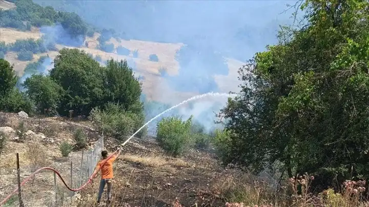 Antalya Yenikışla'da kırsal alanda yangın: Havadan ve karadan müdahale sürüyor