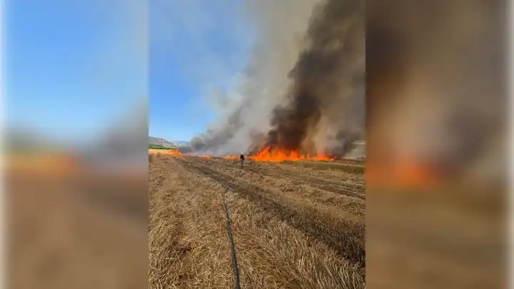 İzmir İtfaiyesi son 2 günde 220 yangına müdahale etti