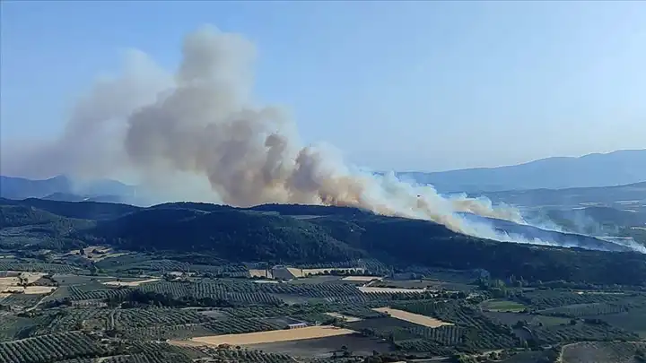 Manisa'daki orman yangını 16 saatlik çalışmayla kontrol altına alındı