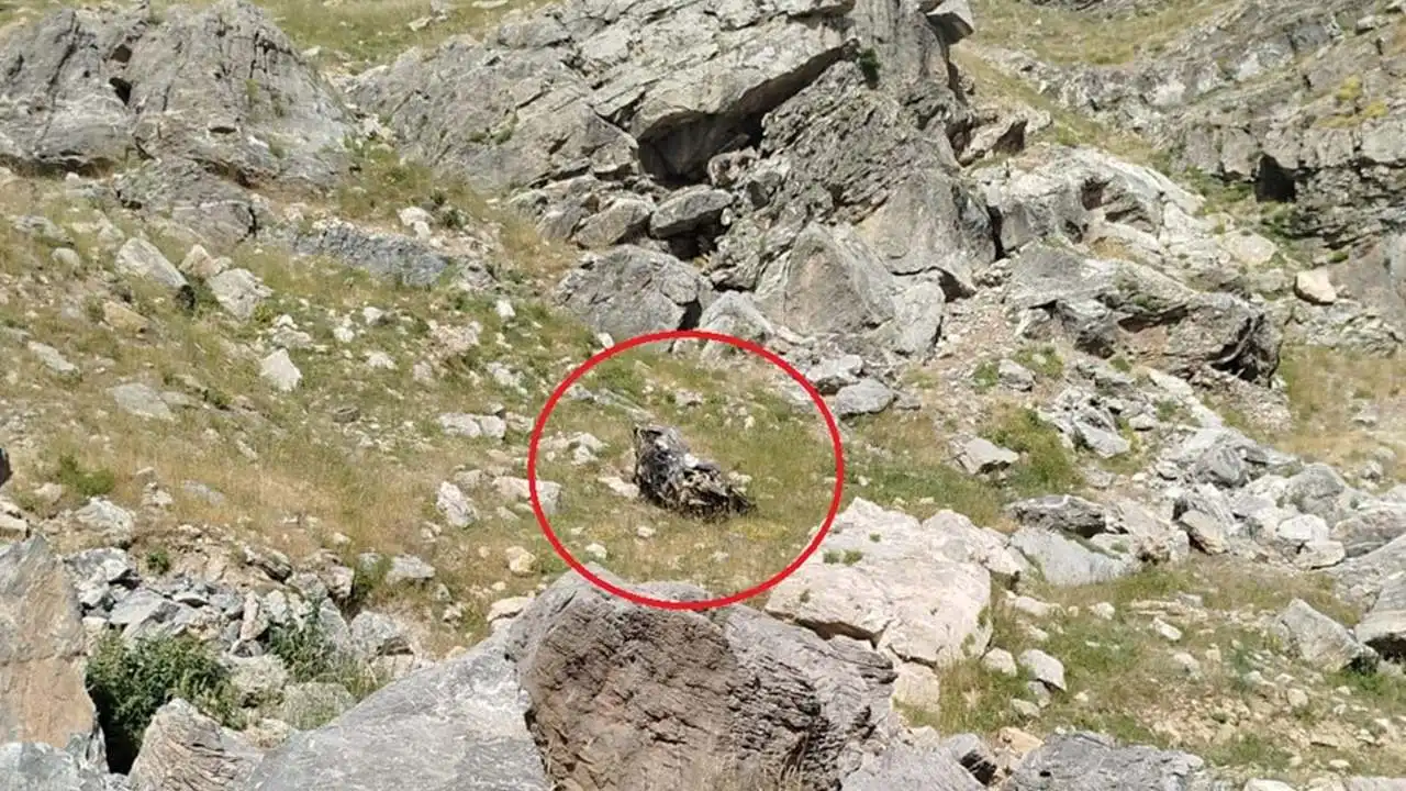 Keşif aracı şarampole yuvarlandı: Ölü ve yaralılar var haberinin görseli